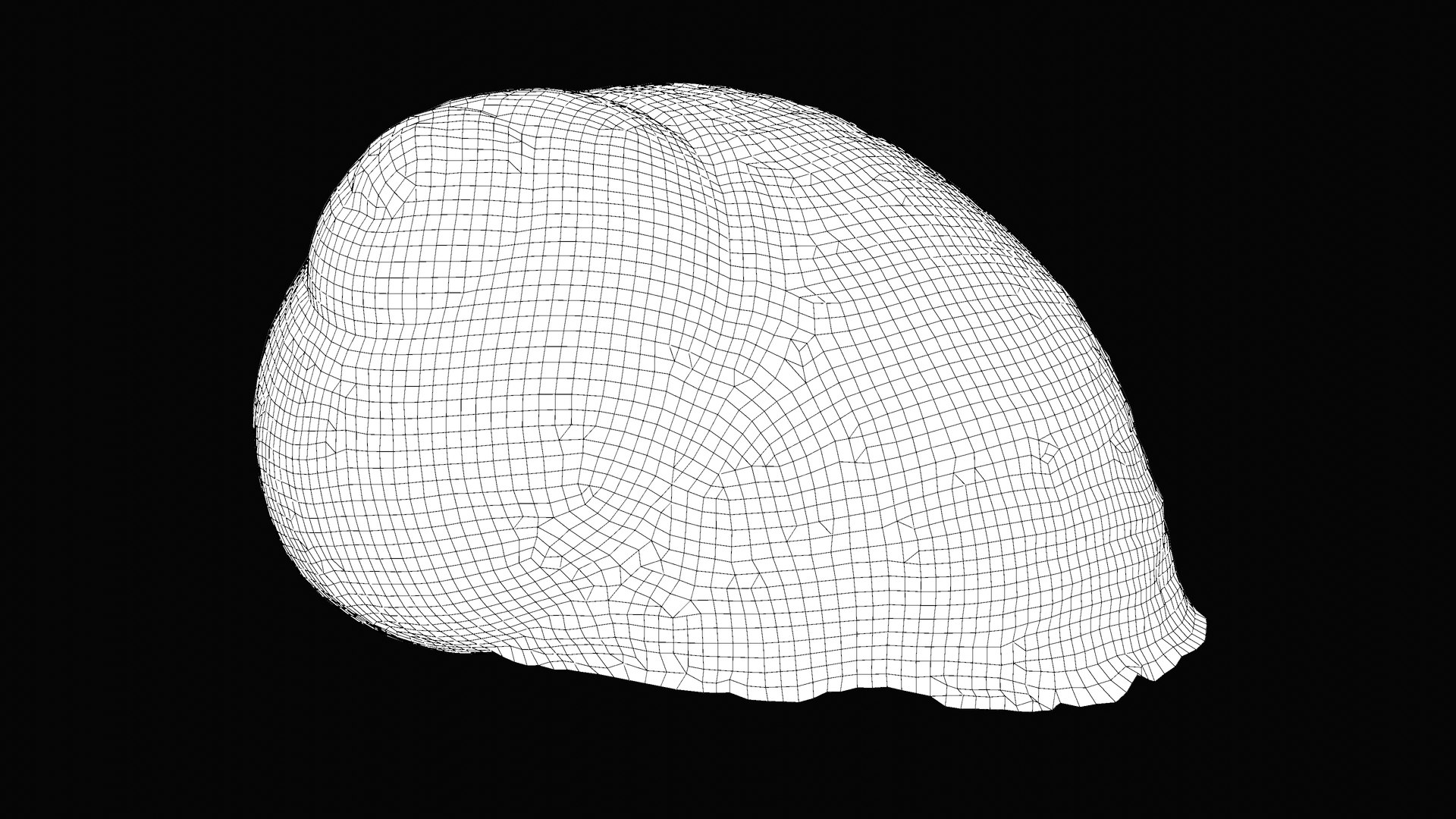 3D Snail Shell - TurboSquid 1627580