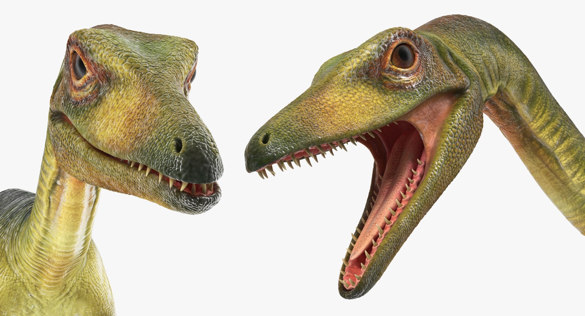 3D Compsognathus Dinosaur Rigged - TurboSquid 1315902