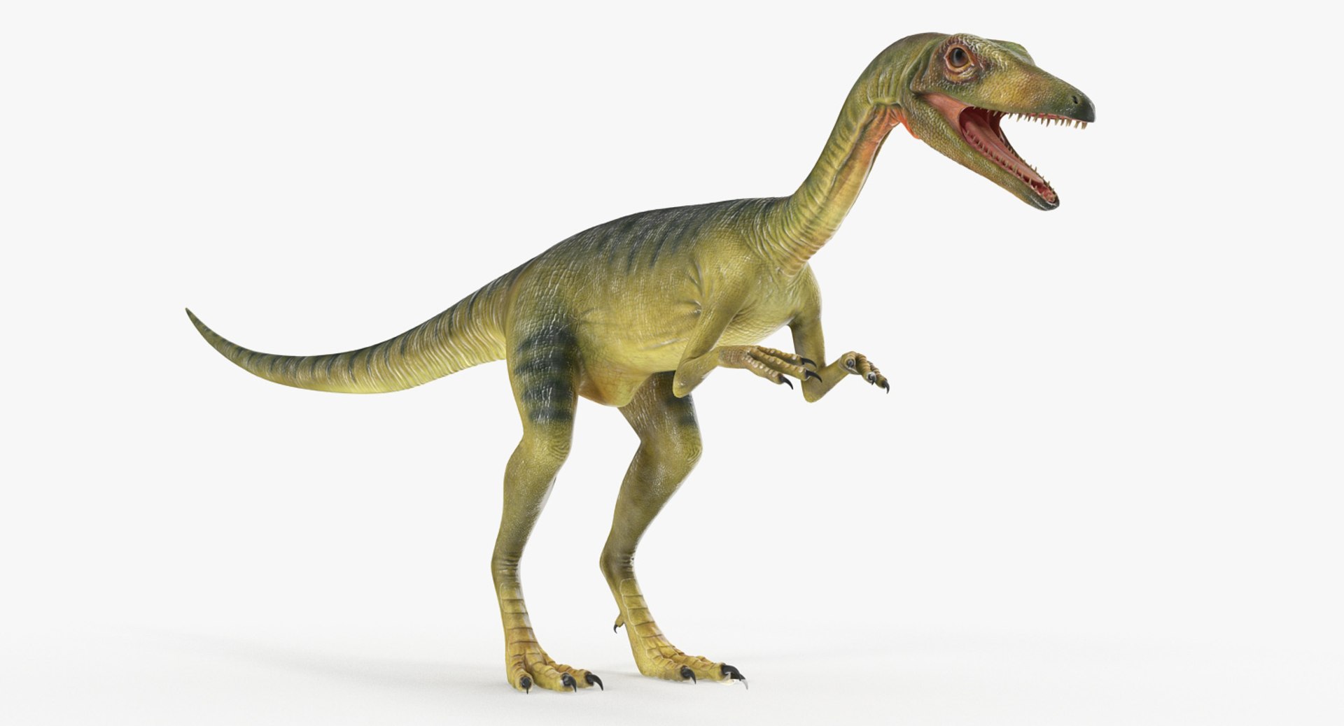 Compsognathus Dinosaur Rigged for Cinema 4D 3D Model 3D model preview