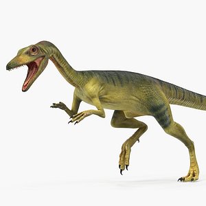 3D compsognathus dinosaur rigged