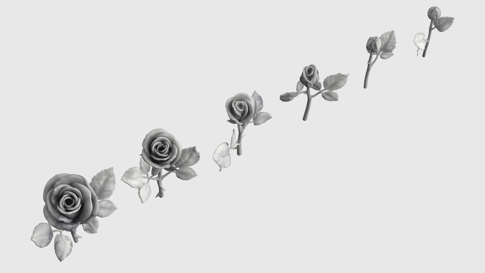 3D Rose Flowers Pack Model - TurboSquid 2017309