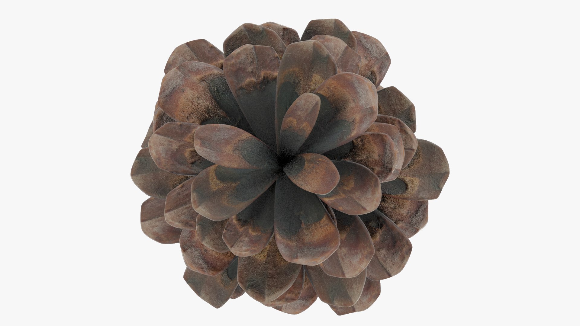 Cone Middle Poly V2 3D model https://p.turbosquid.com/ts-thumb/yo/01ivHE/ja/cmp2_004_011/png/1699976214/1920x1080/fit_q87/424bf248bac953e5a258b68c6a647300a27ed6e1/cmp2_004_011.jpg
