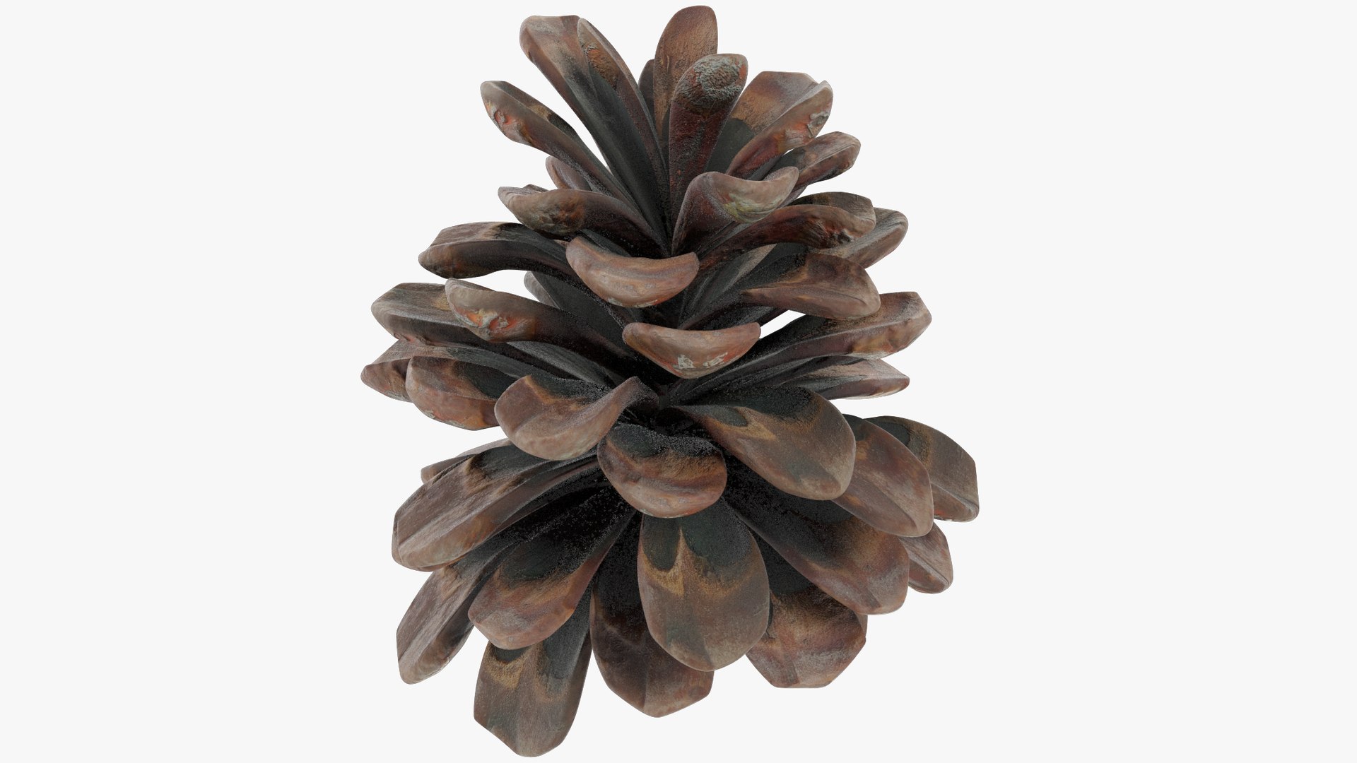 Cone Middle Poly V2 3D model https://p.turbosquid.com/ts-thumb/yo/01ivHE/pa/cmp2_004_005/png/1699976189/1920x1080/fit_q87/61bcfff4306e8f62bfef5d66751320f1f3bde587/cmp2_004_005.jpg