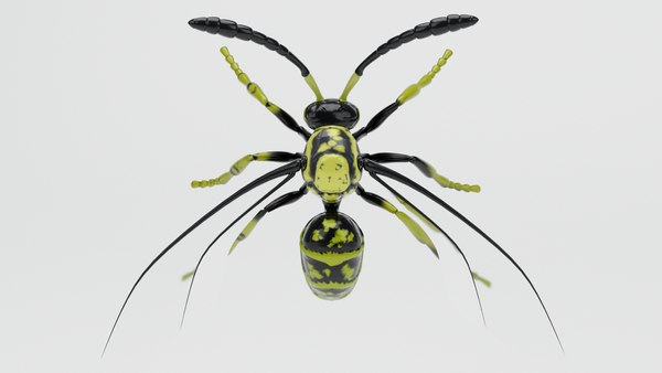 3D wasp insect nature animation model - TurboSquid 1533639