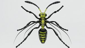 3D wasp insect nature animation model