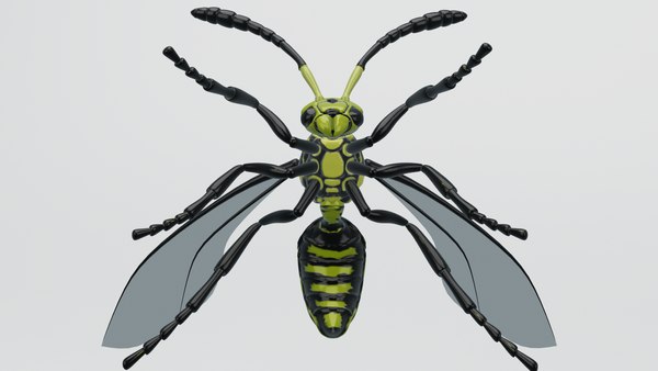 3D wasp insect nature animation model - TurboSquid 1533639