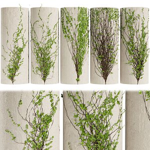 Collection plant vol 423 - Hedera - outdoor - leaf - fitowall - ivy - 3dmax - cinema 4d