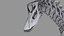 skeletons herbivorous dinosaurs 3D model