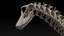 skeletons herbivorous dinosaurs 3D model