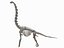 skeletons herbivorous dinosaurs 3D model