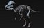 skeletons herbivorous dinosaurs 3D model