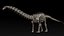 skeletons herbivorous dinosaurs 3D model