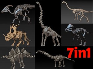skeletons herbivorous dinosaurs 3D model