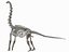 skeletons herbivorous dinosaurs 3D model