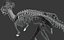 skeletons herbivorous dinosaurs 3D model