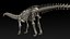 skeletons herbivorous dinosaurs 3D model