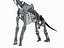 skeletons herbivorous dinosaurs 3D model