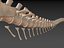skeletons herbivorous dinosaurs 3D model