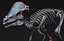 skeletons herbivorous dinosaurs 3D model
