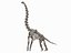 skeletons herbivorous dinosaurs 3D model