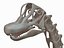 skeletons herbivorous dinosaurs 3D model
