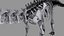 skeletons herbivorous dinosaurs 3D model