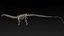 skeletons herbivorous dinosaurs 3D model