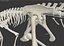 skeletons herbivorous dinosaurs 3D model