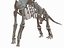 skeletons herbivorous dinosaurs 3D model