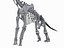 skeletons herbivorous dinosaurs 3D model