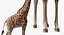 Giraffe Standing Pose Fur 3D Model