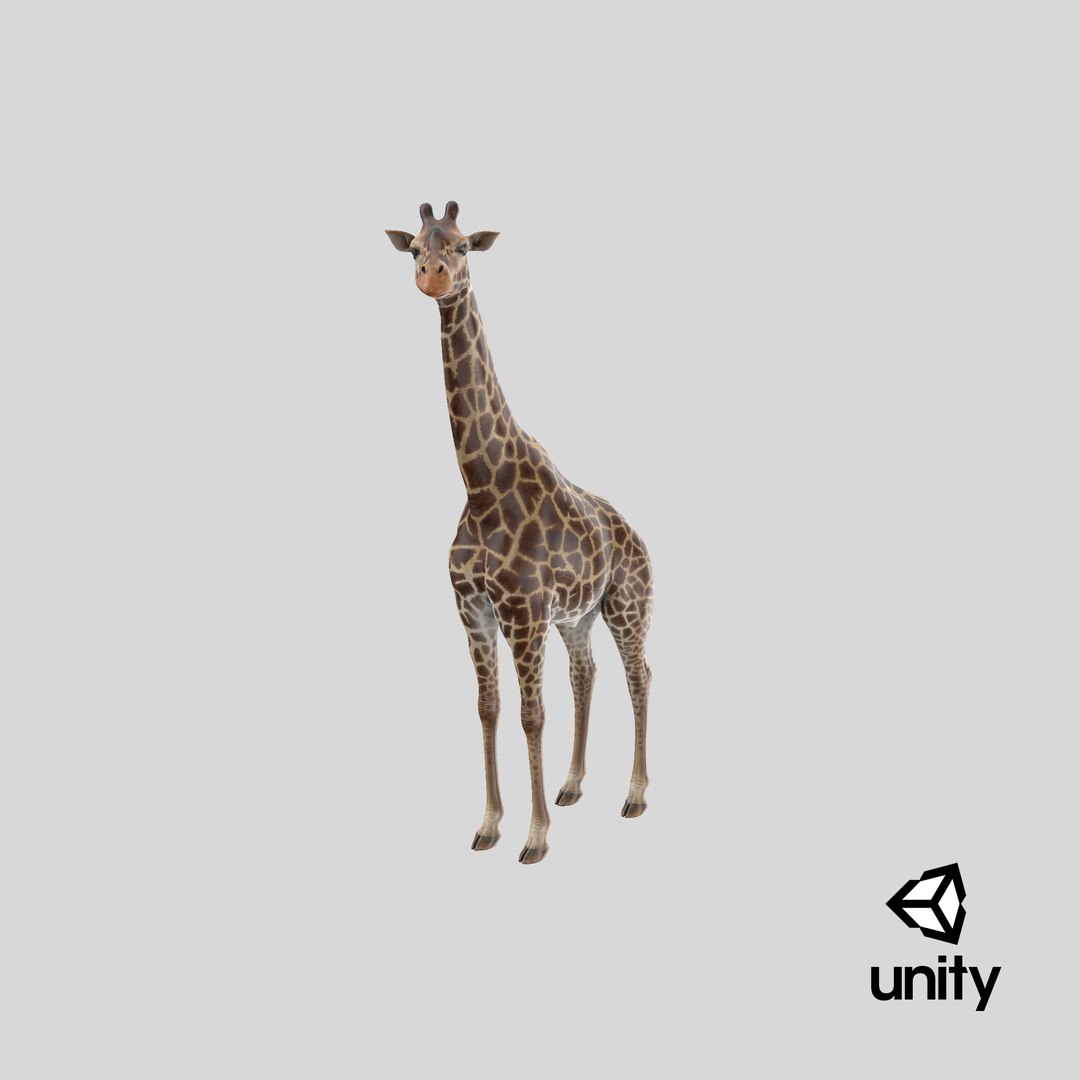 3D giraffe standing pose fur https://p.turbosquid.com/ts-thumb/yo/bWVR6f/5SxTaBMX/stemcell_unity_render/png/1593577801/1920x1080/fit_q87/7f046b26e4fc1b69eb3bf54d101b6ce1daac787e/stemcell_unity_render.jpg