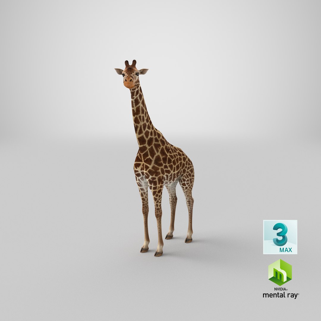 3D giraffe standing pose fur https://p.turbosquid.com/ts-thumb/yo/bWVR6f/5ouVPFid/stemcell_max_mental_ray_render/png/1593577814/1920x1080/fit_q87/966cc519a808bd00fe97d9b48af9b84cd929274a/stemcell_max_mental_ray_render.jpg