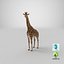 Giraffe Standing Pose Fur 3D Model
