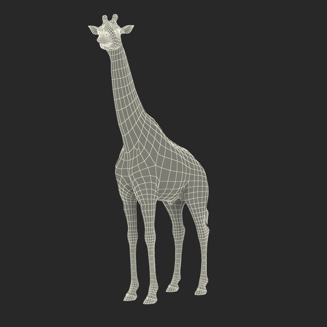 3D giraffe standing pose fur https://p.turbosquid.com/ts-thumb/yo/bWVR6f/71yj7UAc/giraffe_standing_pose_fur_361/jpg/1555971754/1920x1080/turn_fit_q99/7991eff007e778d10ecd1a6afd01f1f961bc099b/giraffe_standing_pose_fur_361-1.jpg