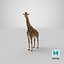 Giraffe Standing Pose Fur 3D Model