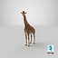 Giraffe Standing Pose Fur 3D Model