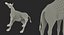 Giraffe Standing Pose Fur 3D Model