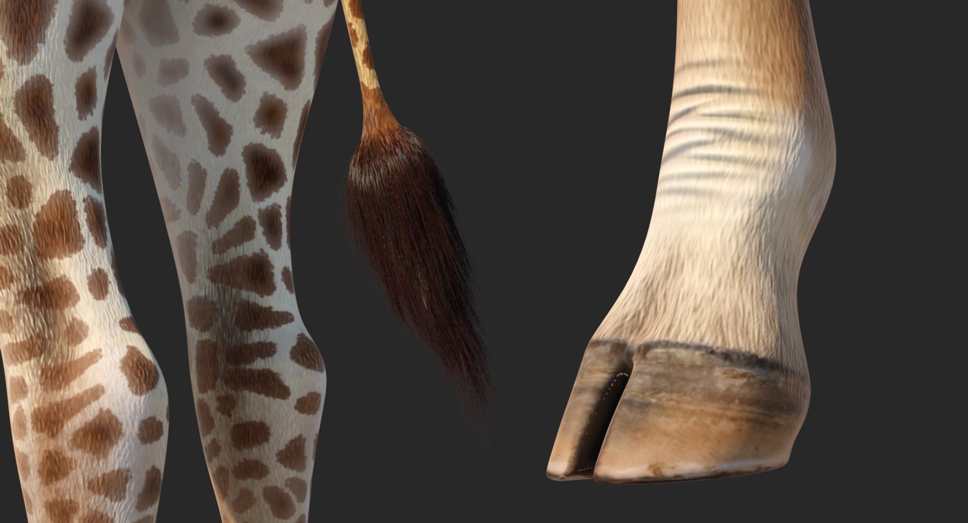 3D giraffe standing pose fur https://p.turbosquid.com/ts-thumb/yo/bWVR6f/g7UCcVml/giraffestandingposefurc4dmodel010/jpg/1555972092/1920x1080/fit_q87/335654fbddaa9a6e200470dc0dded566b924dca1/giraffestandingposefurc4dmodel010.jpg