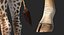 Giraffe Standing Pose Fur 3D Model