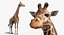 Giraffe Standing Pose Fur 3D Model