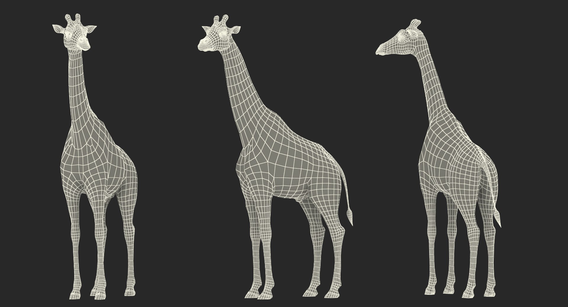 3D giraffe standing pose fur https://p.turbosquid.com/ts-thumb/yo/bWVR6f/sq4eTi3Q/giraffestandingposefurc4dmodel023/jpg/1555972141/1920x1080/fit_q87/ae6f480460f447832b1c849985ec90aad6034be1/giraffestandingposefurc4dmodel023.jpg