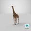 Giraffe Standing Pose Fur 3D Model