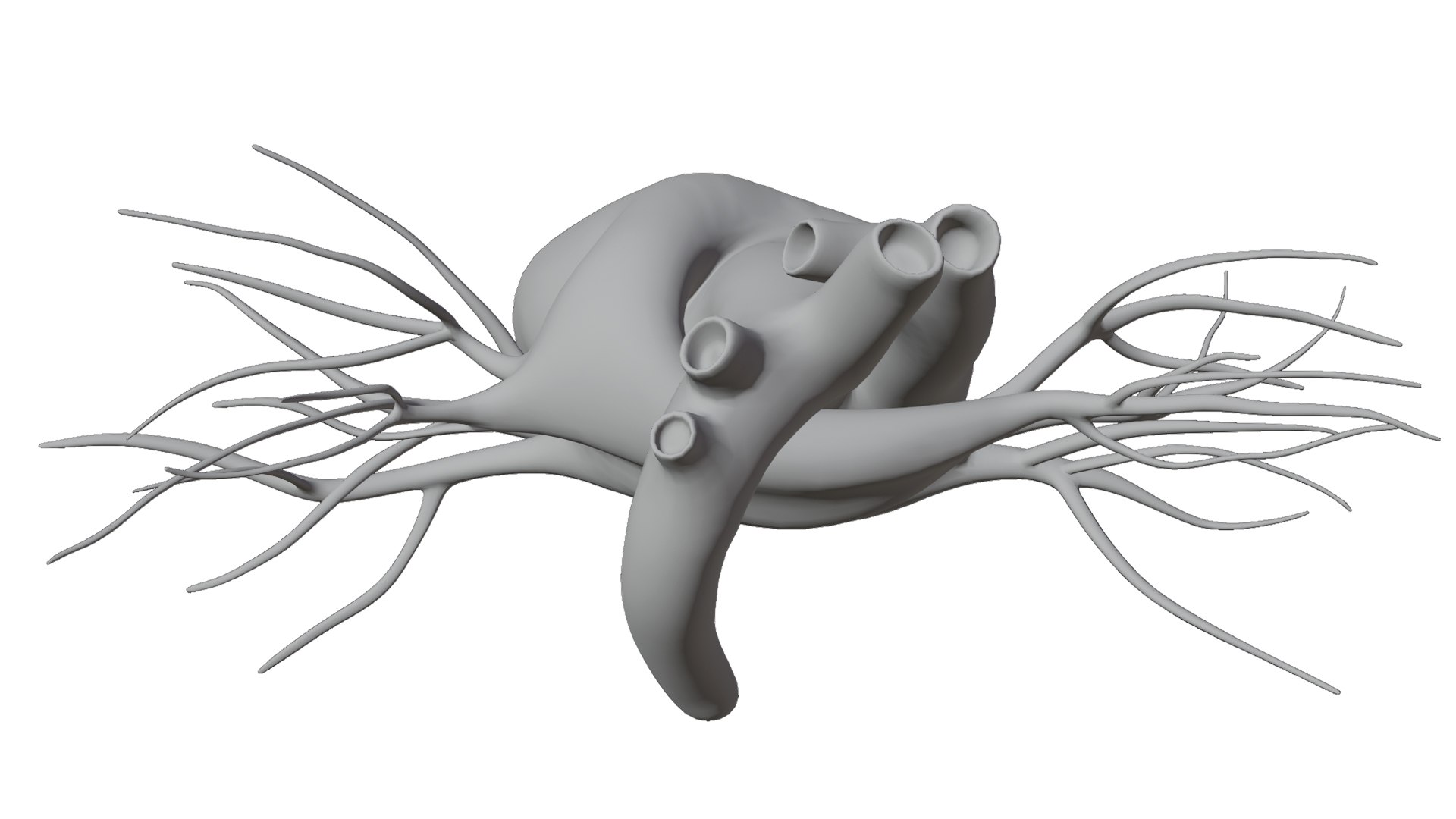 3D Heart model https://p.turbosquid.com/ts-thumb/yo/eDJ92t/4L/21/jpg/1698211849/1920x1080/fit_q87/a994572e4763a61f1d2578ab047f7879c258b733/21.jpg