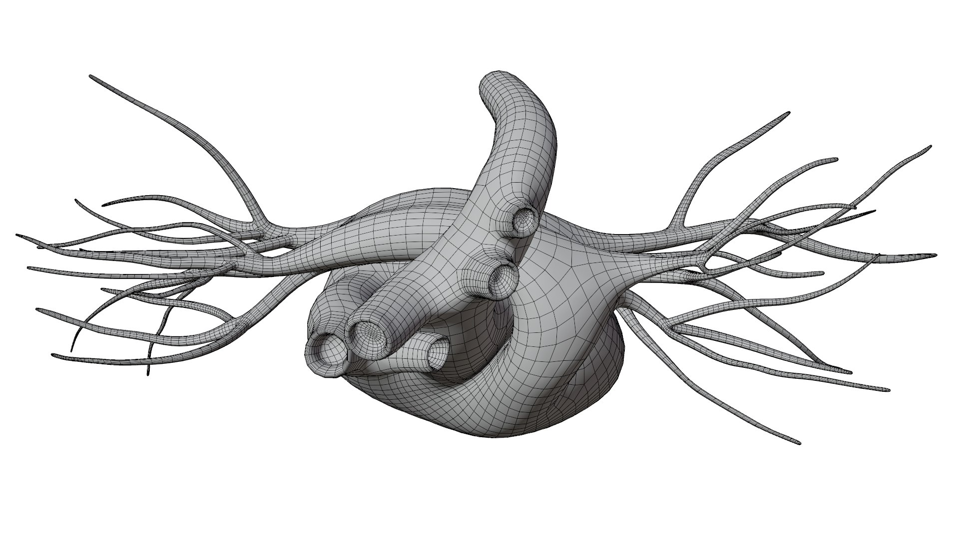 3D Heart model https://p.turbosquid.com/ts-thumb/yo/eDJ92t/FQ/wireframe_5/jpg/1698211967/1920x1080/fit_q87/5bdf8f6f01edb3ec65080f67baa889b2a9c22ebb/wireframe_5.jpg