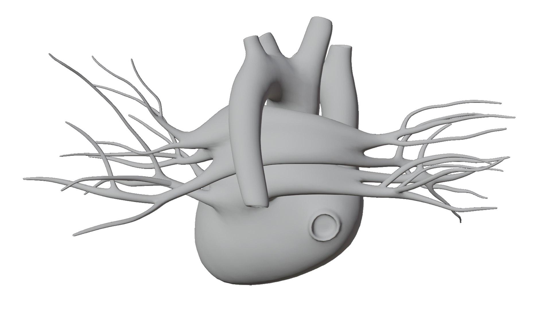 3D Heart model https://p.turbosquid.com/ts-thumb/yo/eDJ92t/GV/23/jpg/1698211850/1920x1080/fit_q87/ee73b1a1d749ad3901eb40d045030c07267a96f7/23.jpg