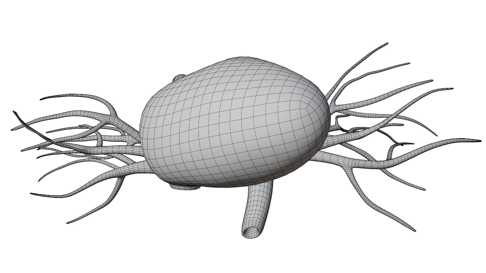 3D Heart model https://p.turbosquid.com/ts-thumb/yo/eDJ92t/Sr/wireframe_4/jpg/1698211968/1920x1080/fit_q87/ae3dfca330c13a0abded957ca602a4475ea8a3d4/wireframe_4.jpg