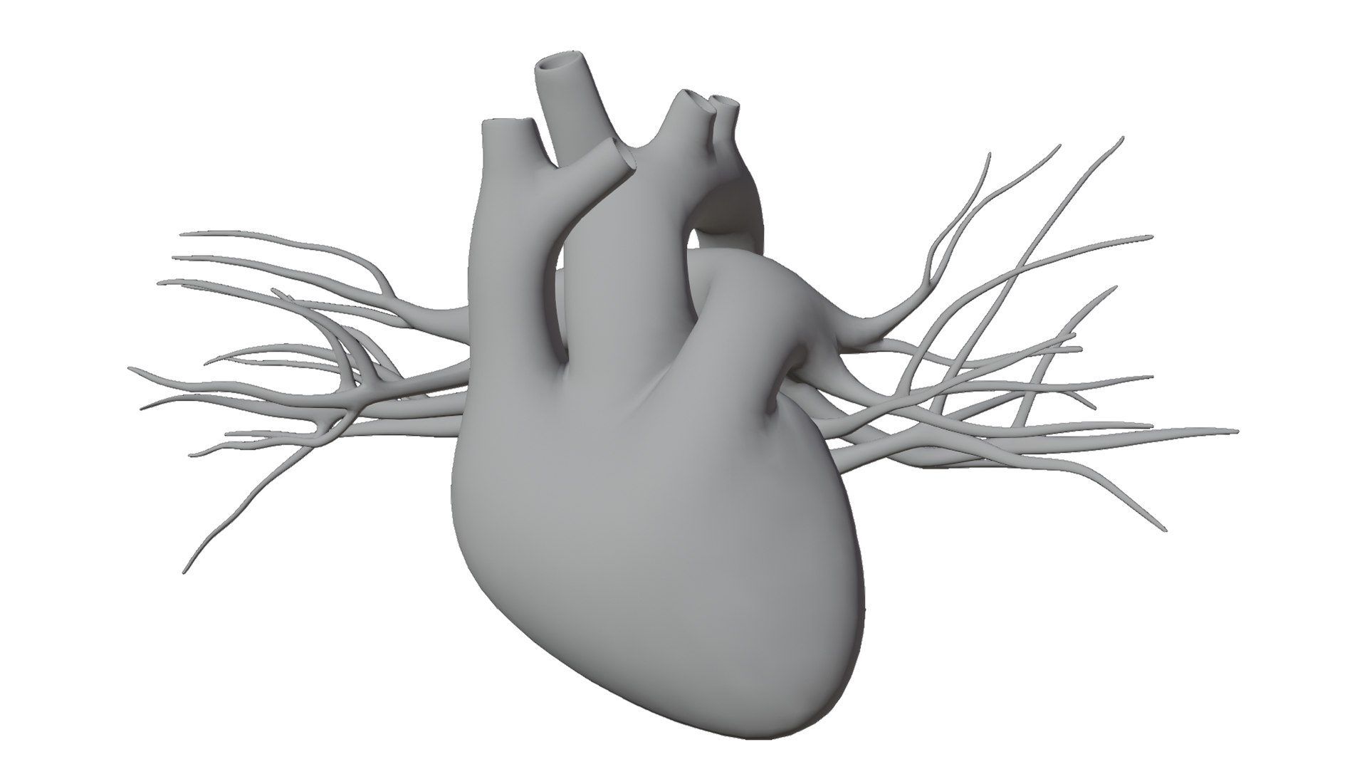 3D Heart model https://p.turbosquid.com/ts-thumb/yo/eDJ92t/so/19/jpg/1698211847/1920x1080/fit_q87/20e8b7db5df0062ec884f972c500ba5cea55bac3/19.jpg