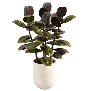 3D Faux Rubber Tree 2015 model