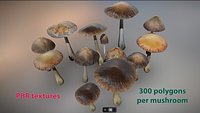 Mushrooms